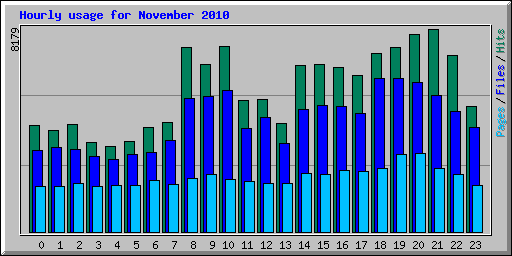Hourly usage for November 2010
