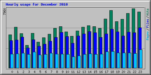Hourly usage for December 2010