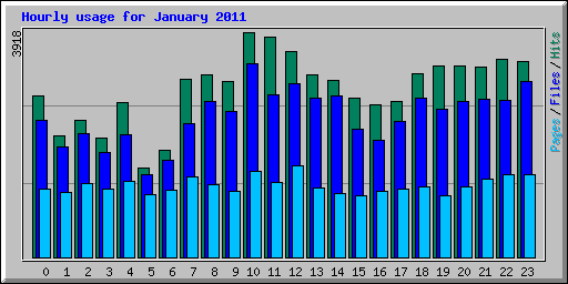 Hourly usage for January 2011